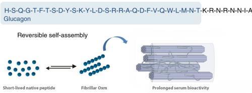 Prolong The Peptide Bioactivity By Reversible Self Assembly LifeTein