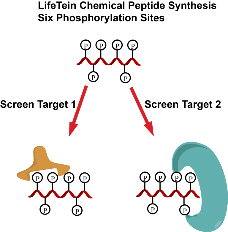 Six Phosphorylations Using Microwave Assisted Heating Technology Using