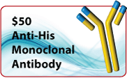 $50 Anti-His Monoclonal Antibody