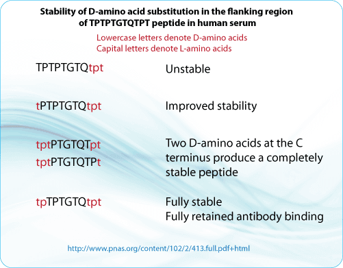 D amino acid peptide