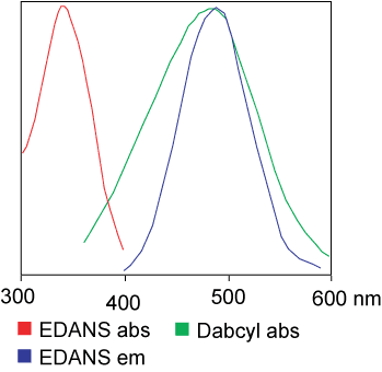 FRET Peptide synthesis: EDANS and Dabcyl