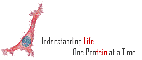 Understanding Life, one protein at a time