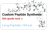 Custom Peptide Synthesis Services