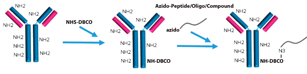 click chemistry modified peptide synthesis | LifeTein Peptide Blog