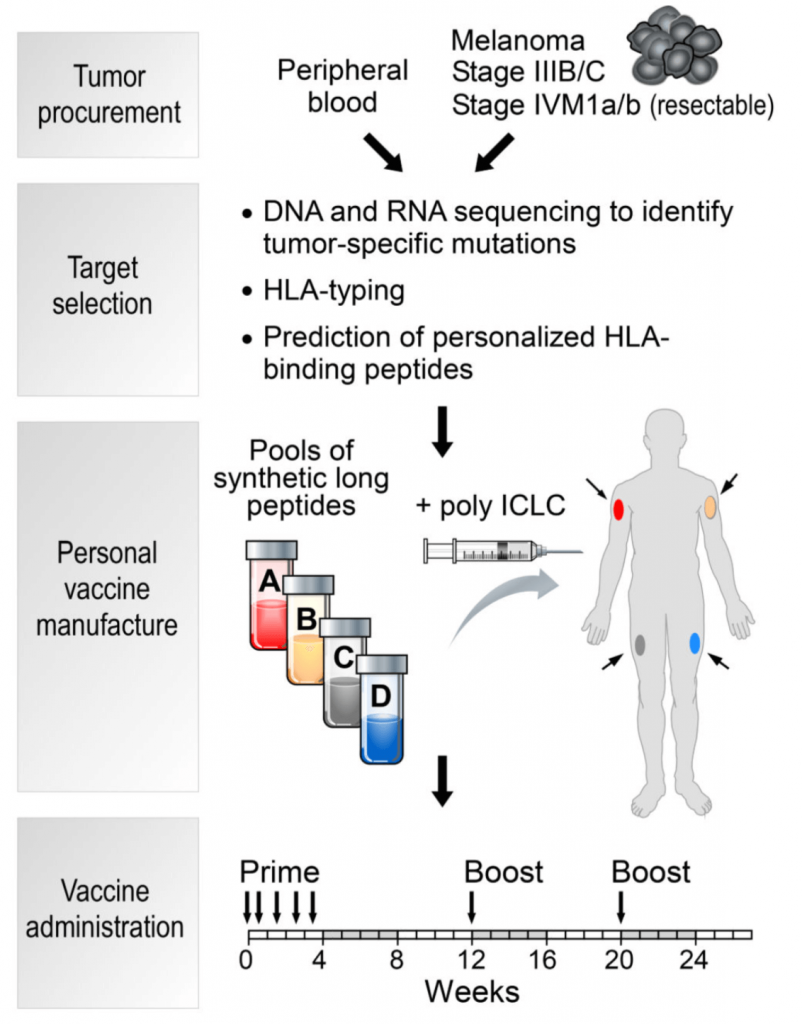 Personalized Treatment Using Synthetic Peptides | LifeTein Peptide Blog