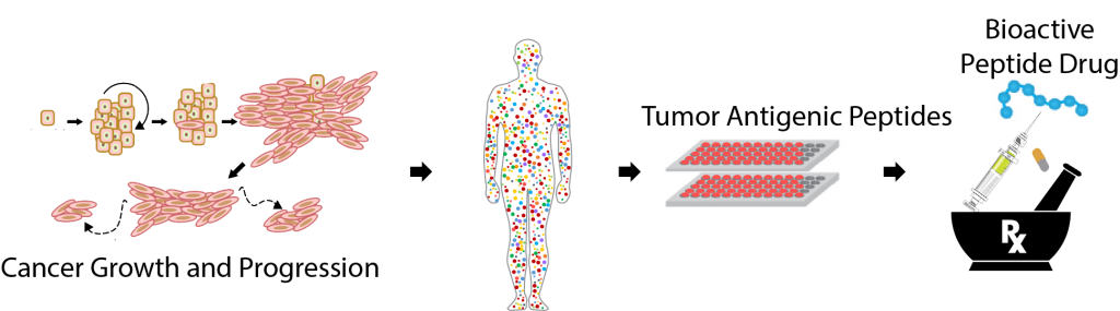 Peptide Chemistry Toolbox For Therapeutics | LifeTein Peptide Blog