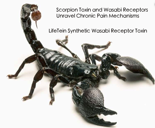 Scorpion Toxin Peptides