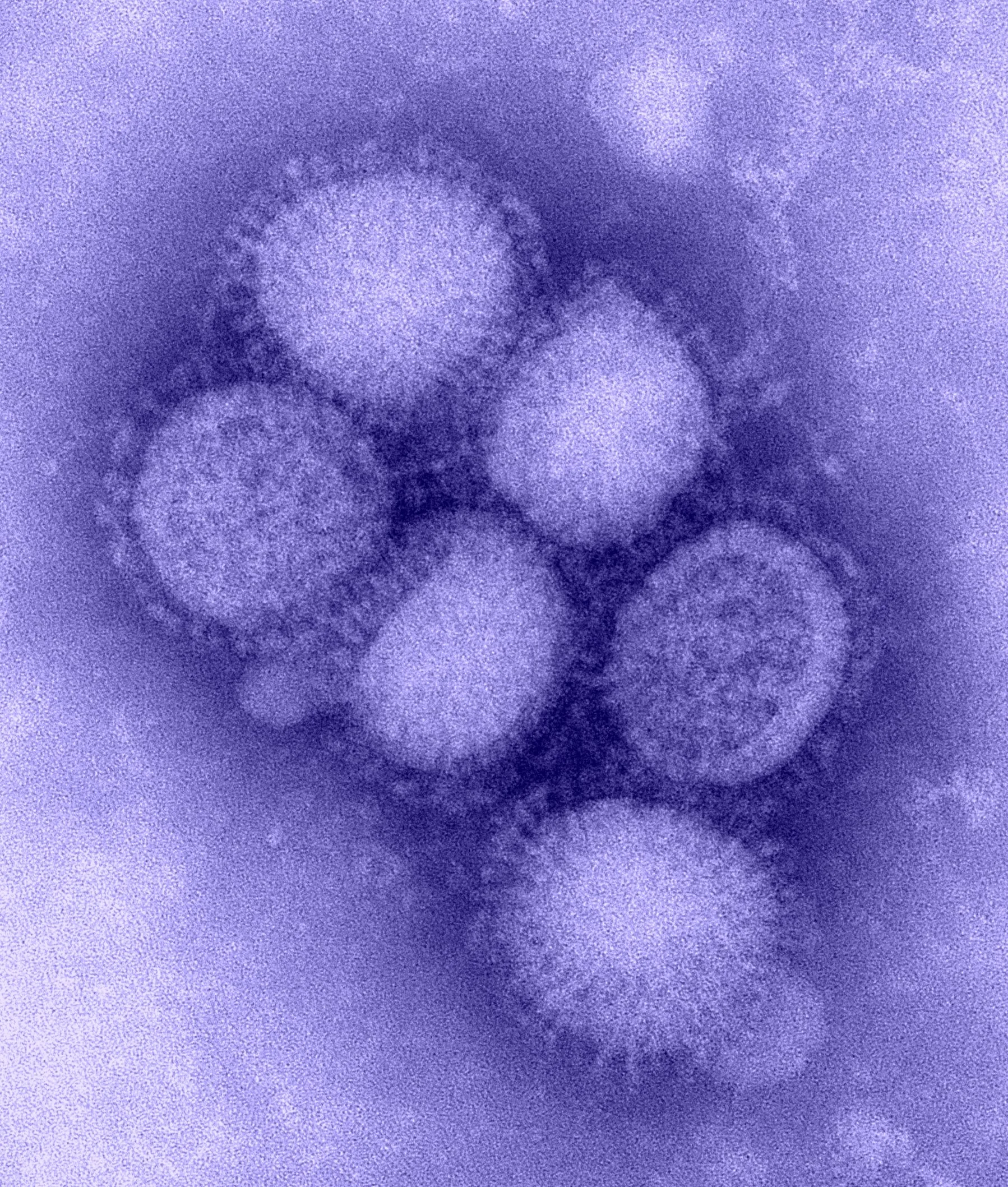 Influenza-A peptide