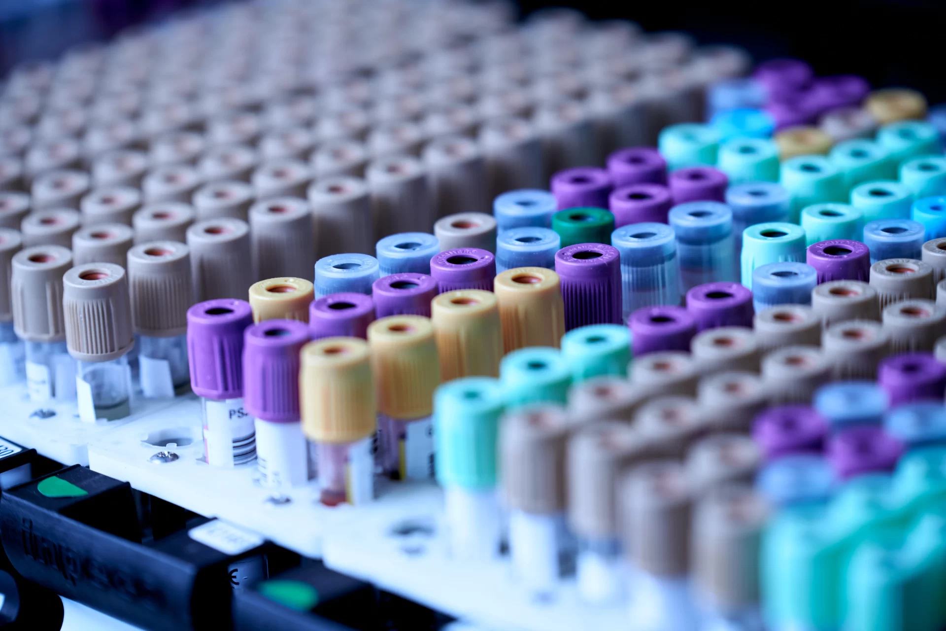 Peptide-Library