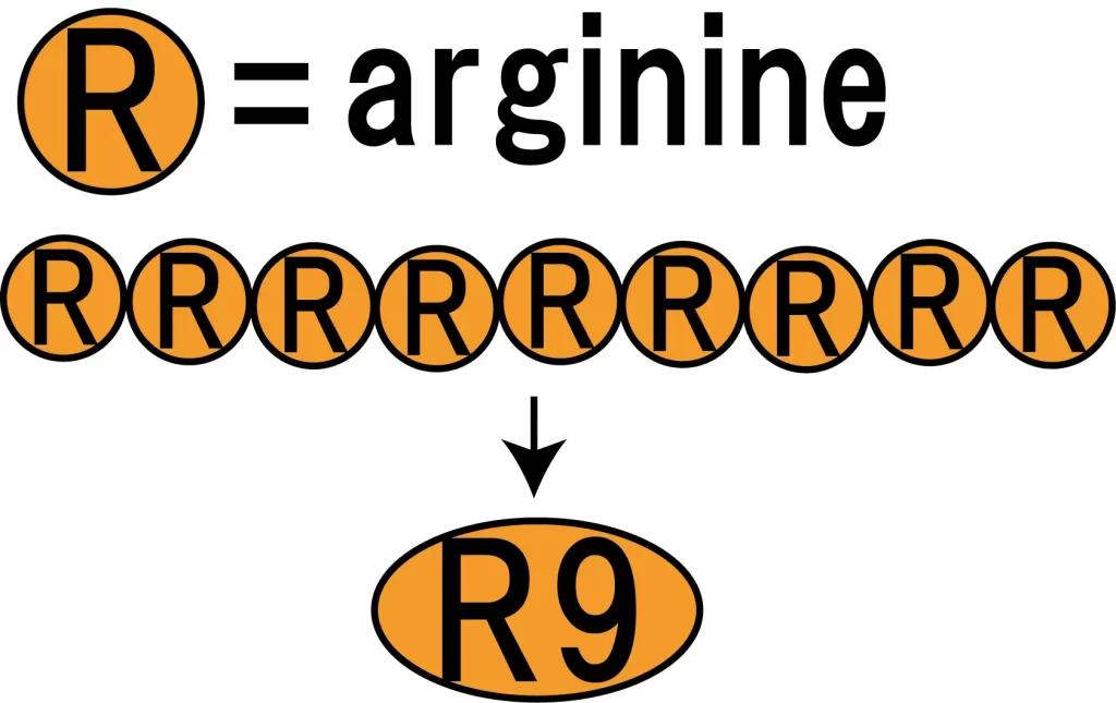 R9 peptide