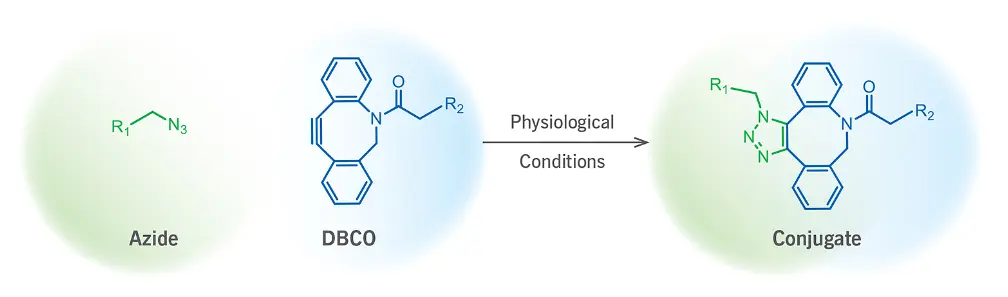 Click Chemistry