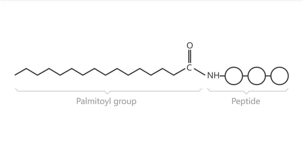 Lipidated