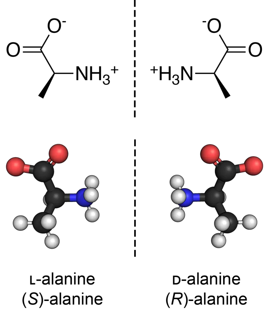 D-Amino Acids