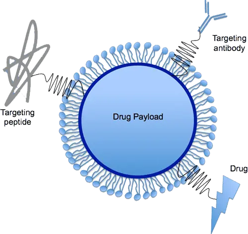 Lipid Nanoparticles