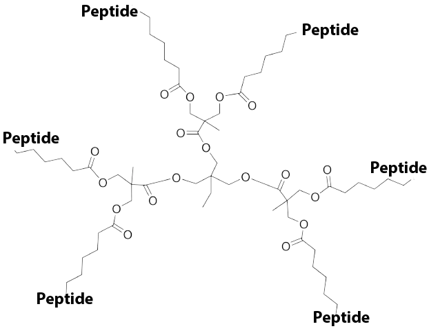 Branched Peptides