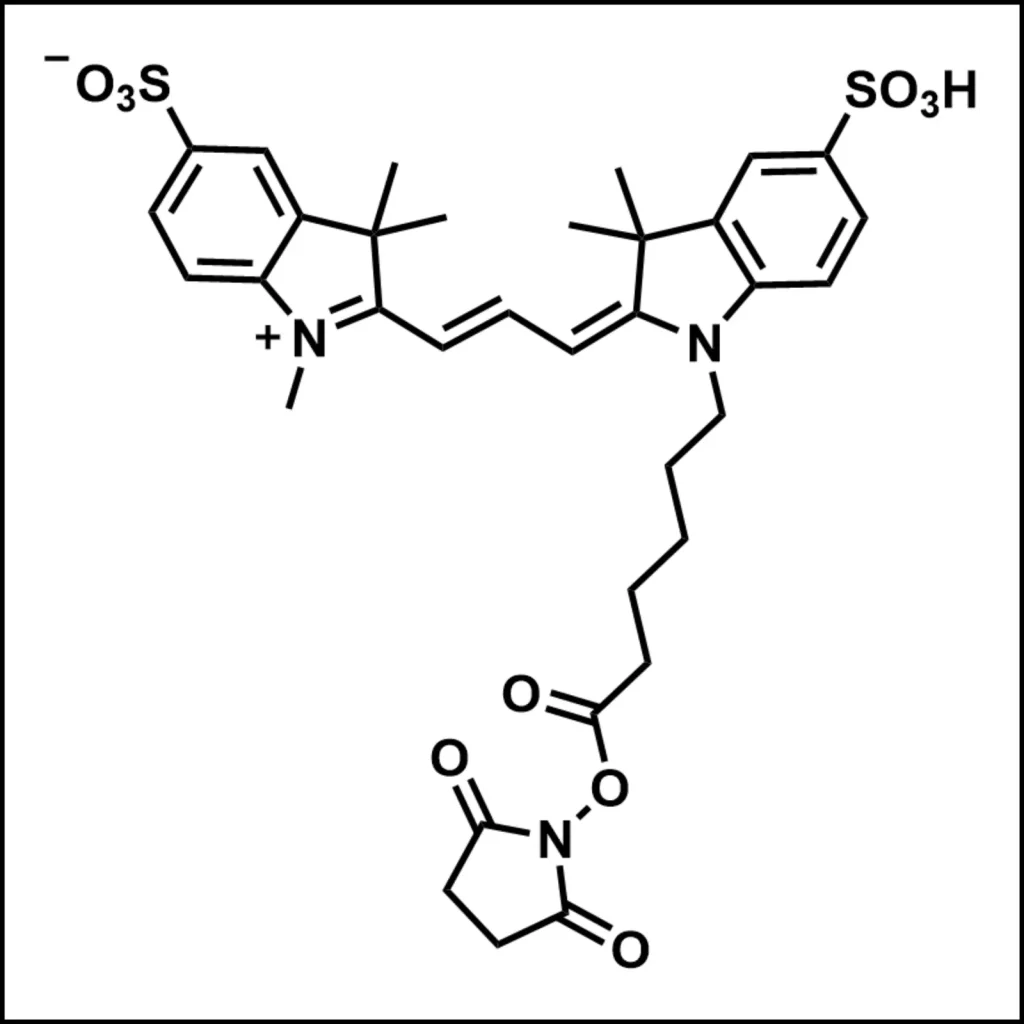 Cy3