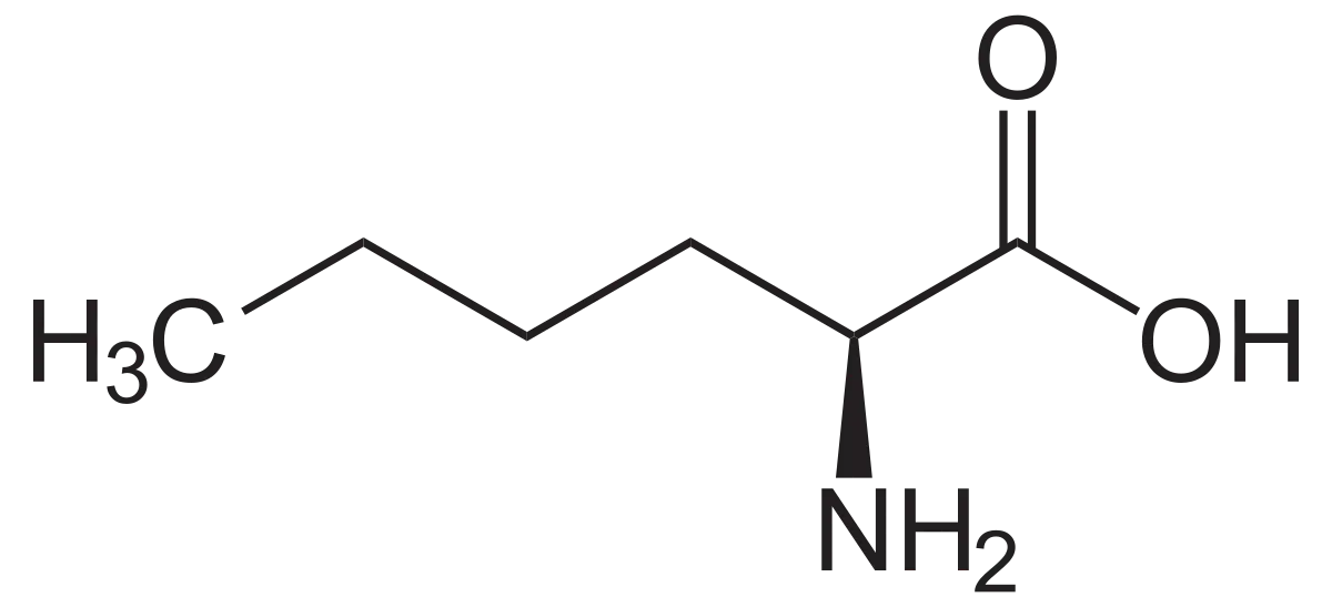 Norleucine