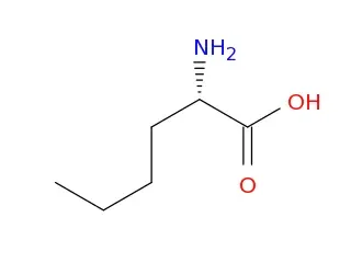 Norleucine