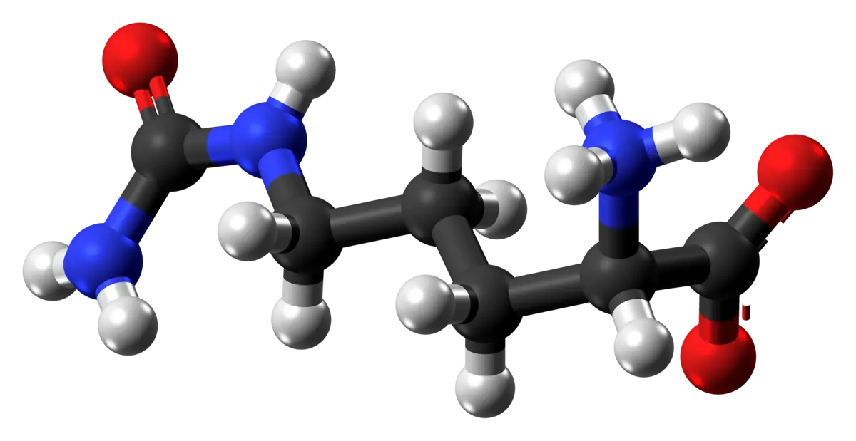 Citrulline