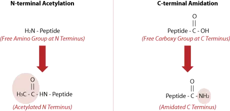 Amidated