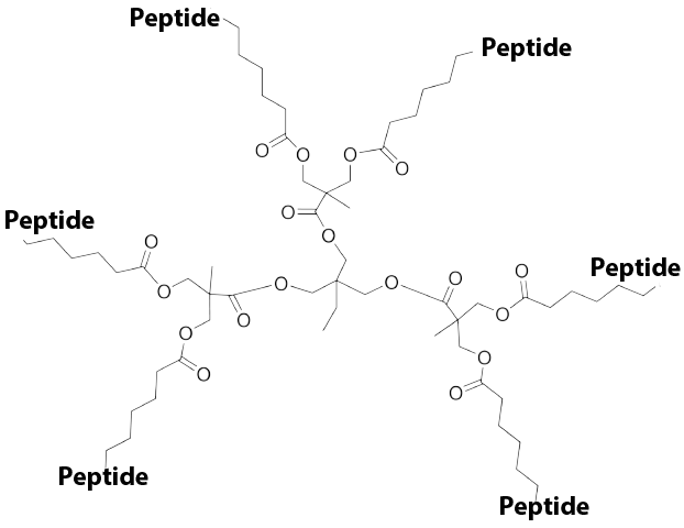 6 Branches peptide dendrimer