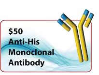 antibody promotion anti GST antibody