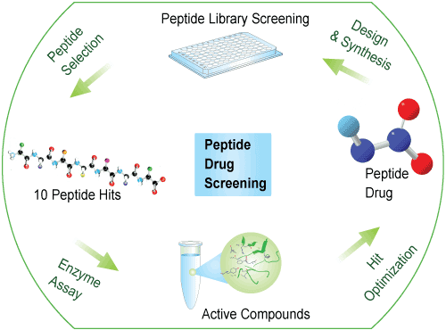 peptide library drug screening