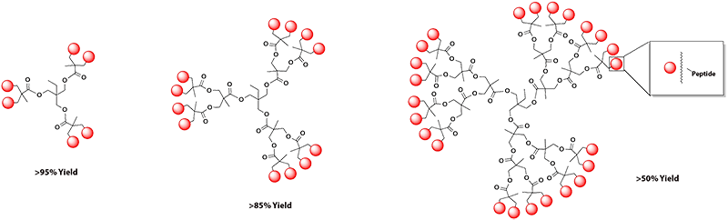 Peptide Dendrimers