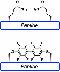 Perfluoroarene-Based peptide macrocycles