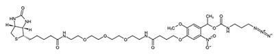 Peptide synthesis: Photocleavable Biotin Azide Peptide