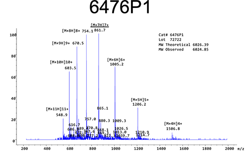 PNA Peptide Conjugate Pseudoisocytosine MASS PNA Peptide Conjugate Pseudoisocytosine MASS