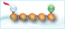 FRET Peptides