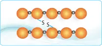 Disulfide Bond Peptides