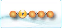 Phosphorylated Peptides