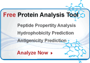 Protein peptide analysis tool for peptide hydrophilicity