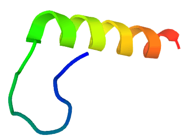 Peptide Fold - Short Peptides