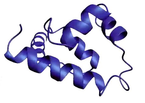 LifeTein Protein Structure