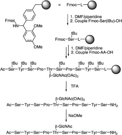 solid-phase synthesis of glycopeptide