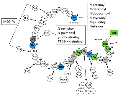 (image for) Prolactin-Releasing Peptide (1-31) (human)