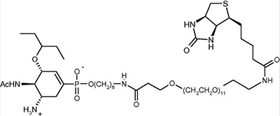 (image for) Phospha Oseltamivir Biotin Conjugate