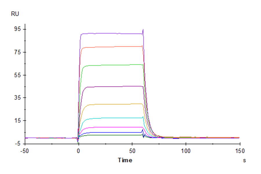 Biotinylated Human NKp30/NCR3/CD337 Protein (LTP10523)