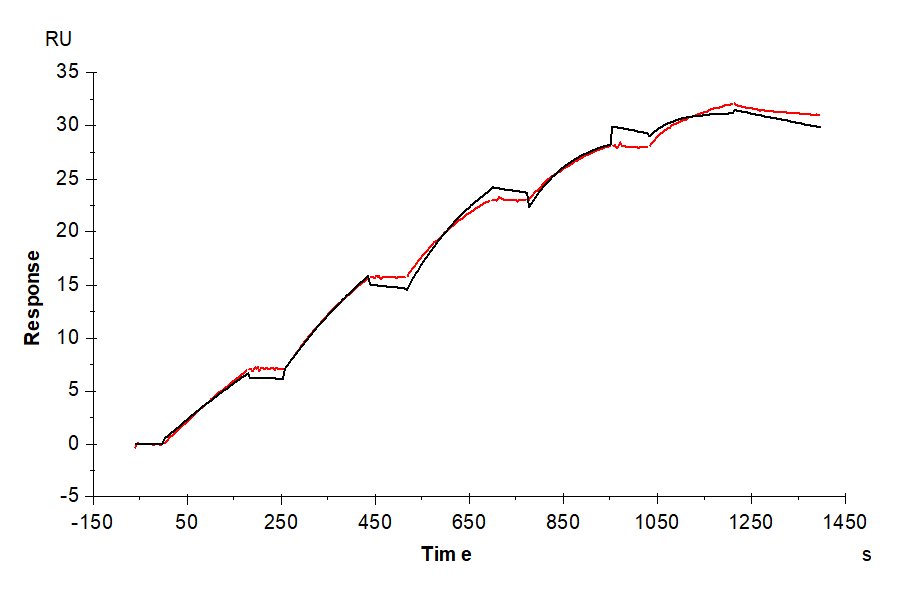 Human VEGF-C/Flt4-L Protein (LTP10610)